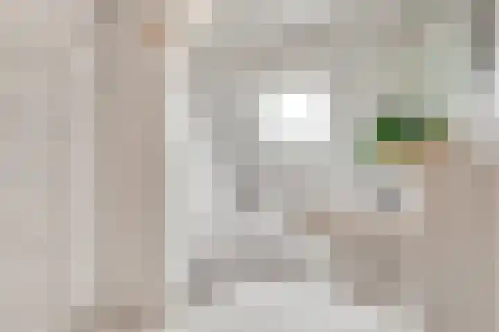 Rijderslag 4 Houten thumbnail 39