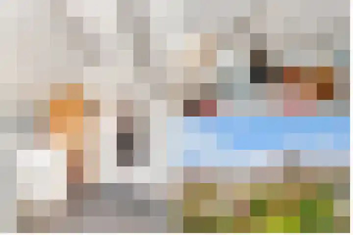 Rijderslag 4 Houten thumbnail 42