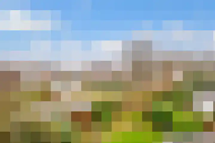 Rijderslag 4 Houten thumbnail 45