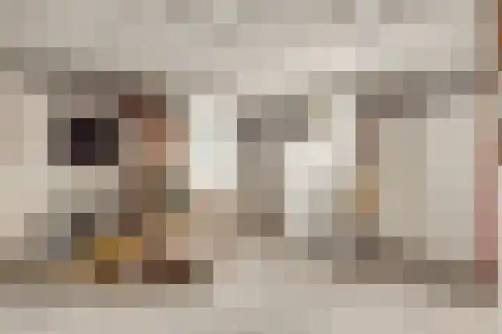 Rijderslag 4 Houten thumbnail 47