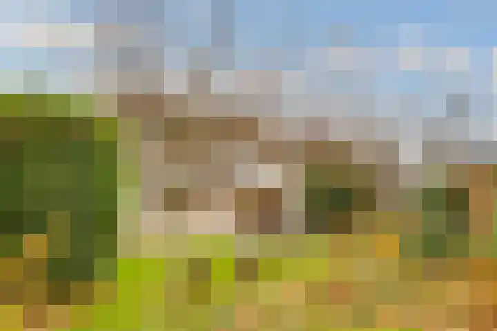 Rijderslag 4 Houten thumbnail 48
