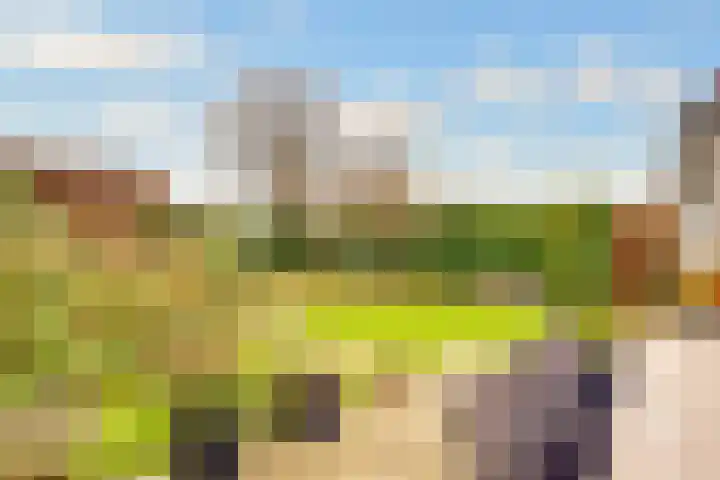 Rijderslag 4 Houten thumbnail 50