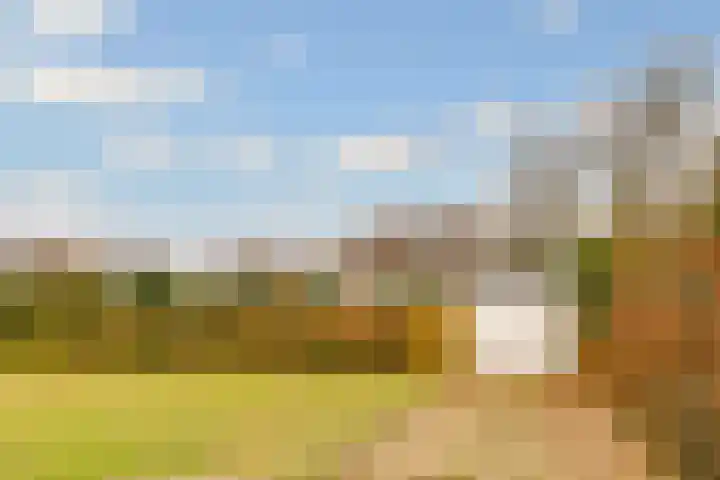 Rijderslag 4 Houten thumbnail 53