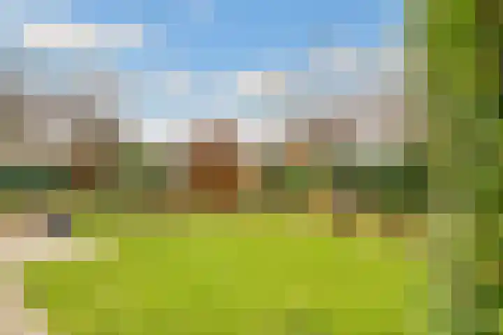 Rijderslag 4 Houten thumbnail 54