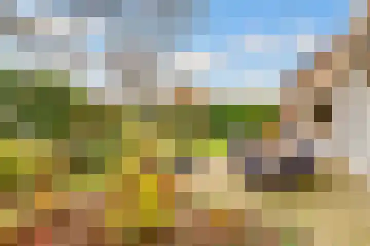 Rijderslag 4 Houten thumbnail 55