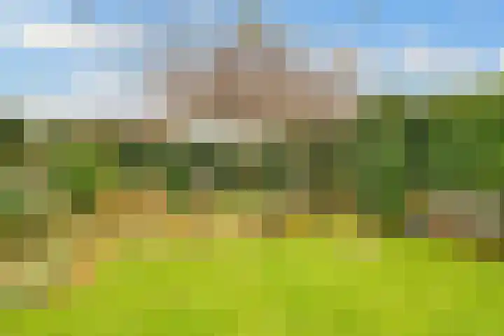 Rijderslag 4 Houten thumbnail 56