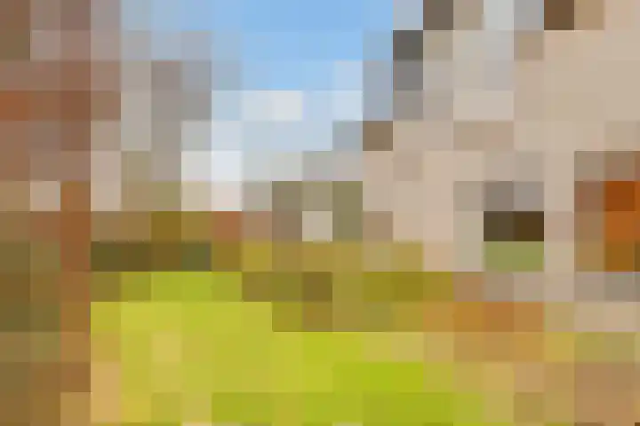 Rijderslag 4 Houten thumbnail 57