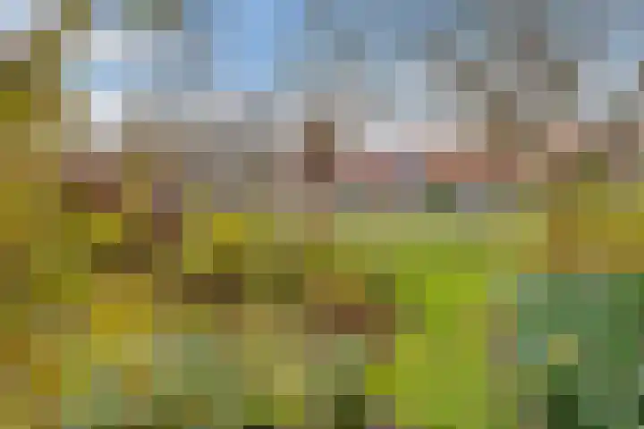 Rijderslag 4 Houten thumbnail 58