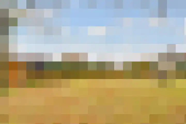 Rijderslag 4 Houten thumbnail 59