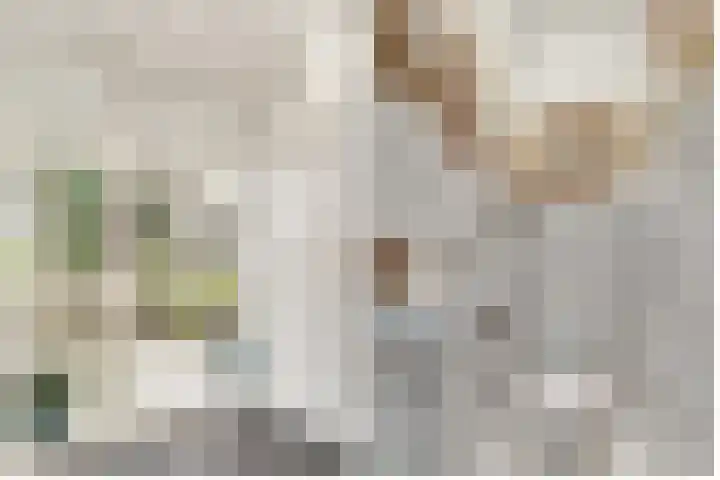 Rijderslag 4 Houten thumbnail 6