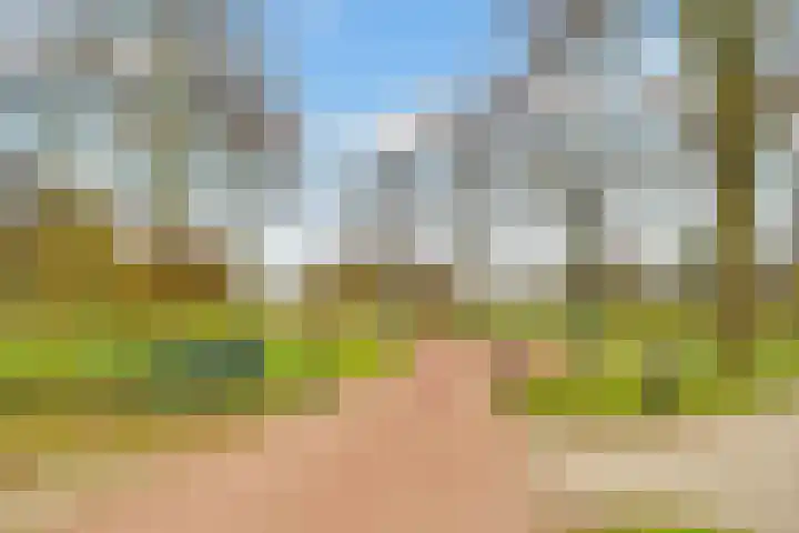 Rijderslag 4 Houten thumbnail 60