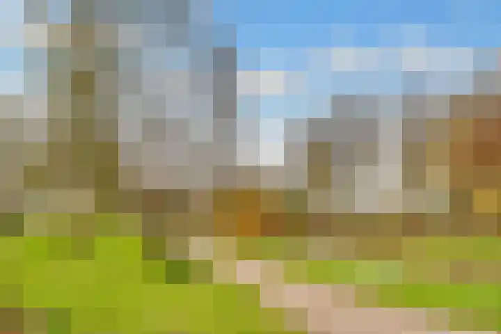 Rijderslag 4 Houten thumbnail 61