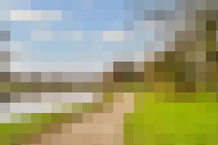 Rijderslag 4 Houten thumbnail 62