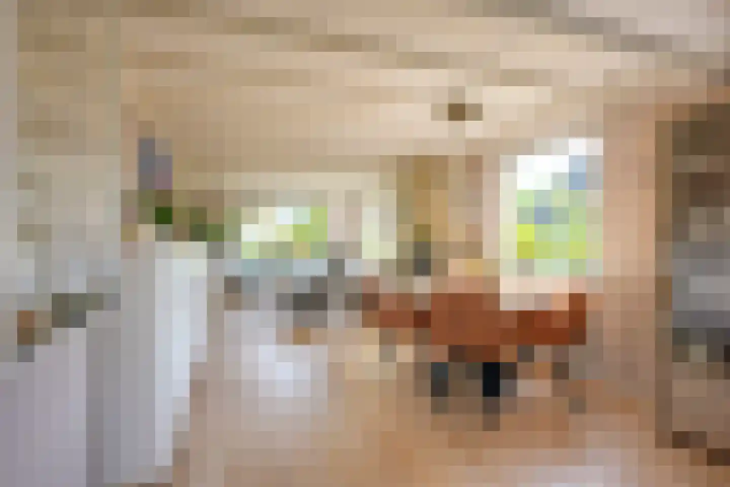 Rijderslag 8 Houten thumbnail 11