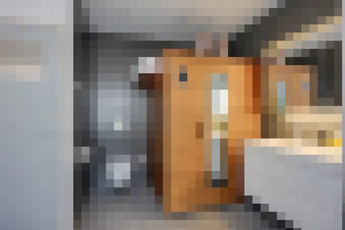 Rijderslag 8 Houten thumbnail 21