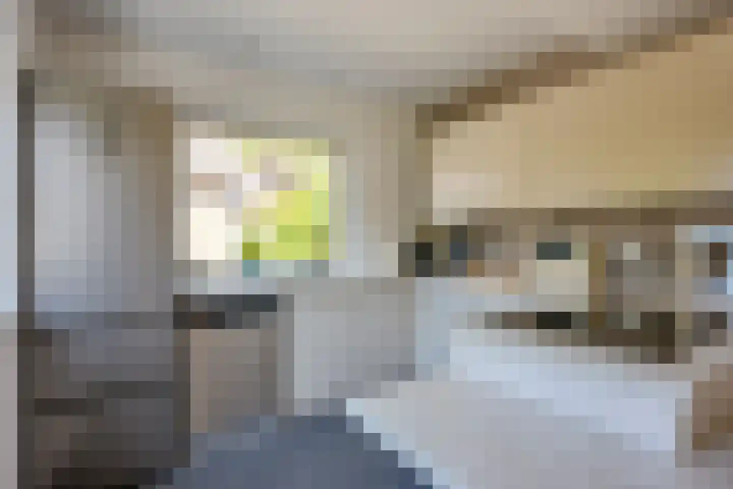 Rijderslag 8 Houten thumbnail 23