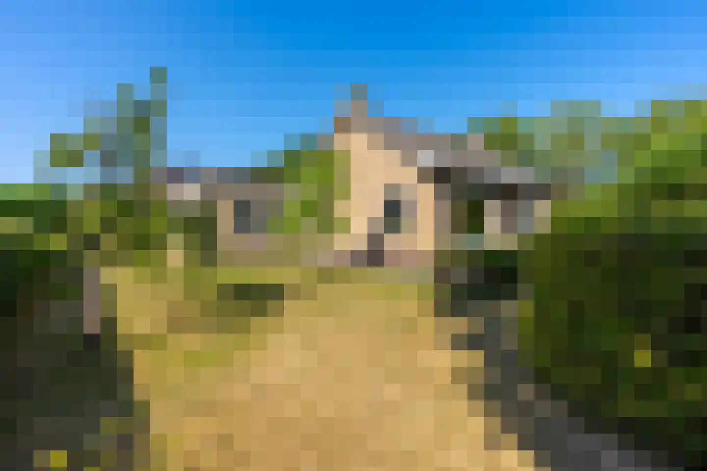 Rijderslag 8 Houten thumbnail 33