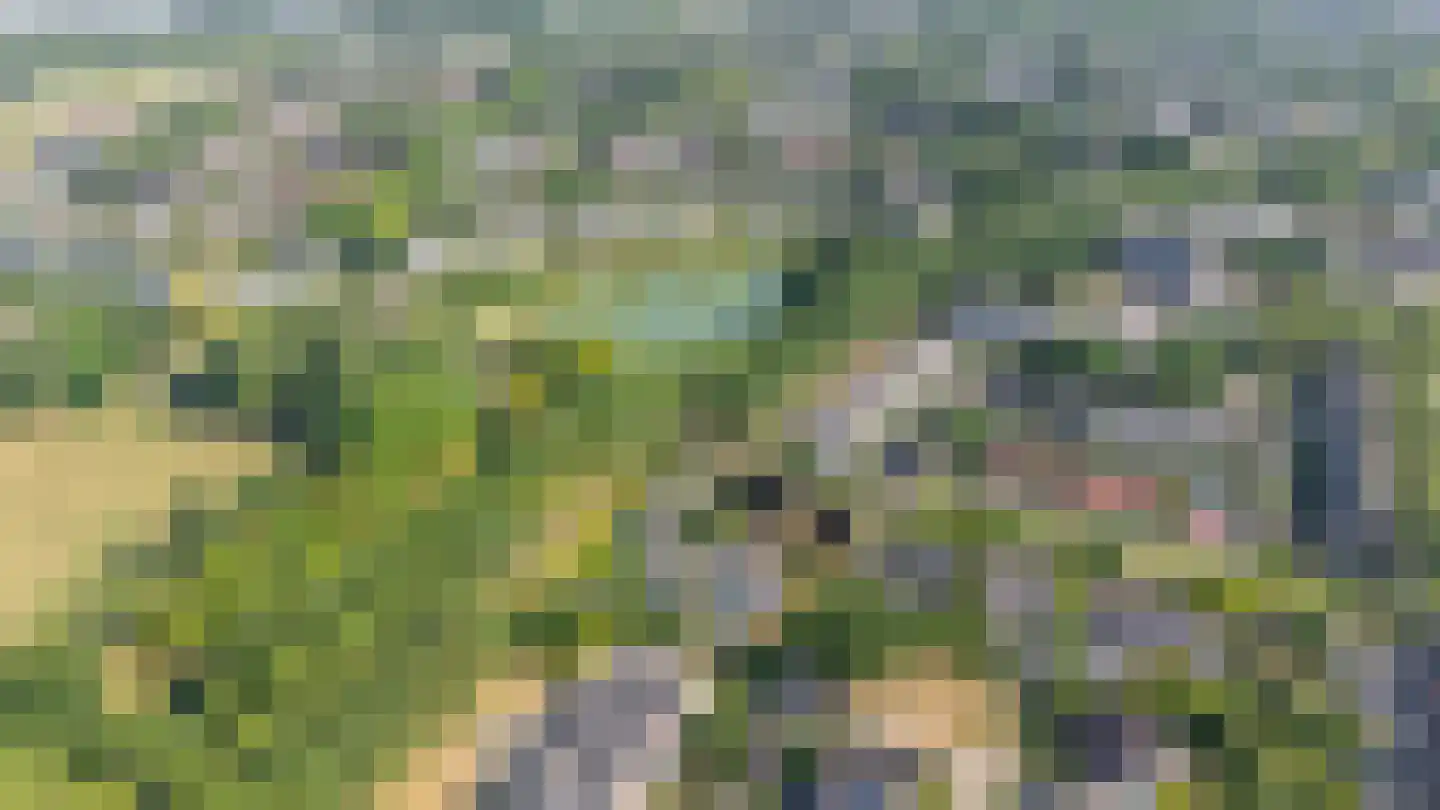 Rijderslag 8 Houten thumbnail 6