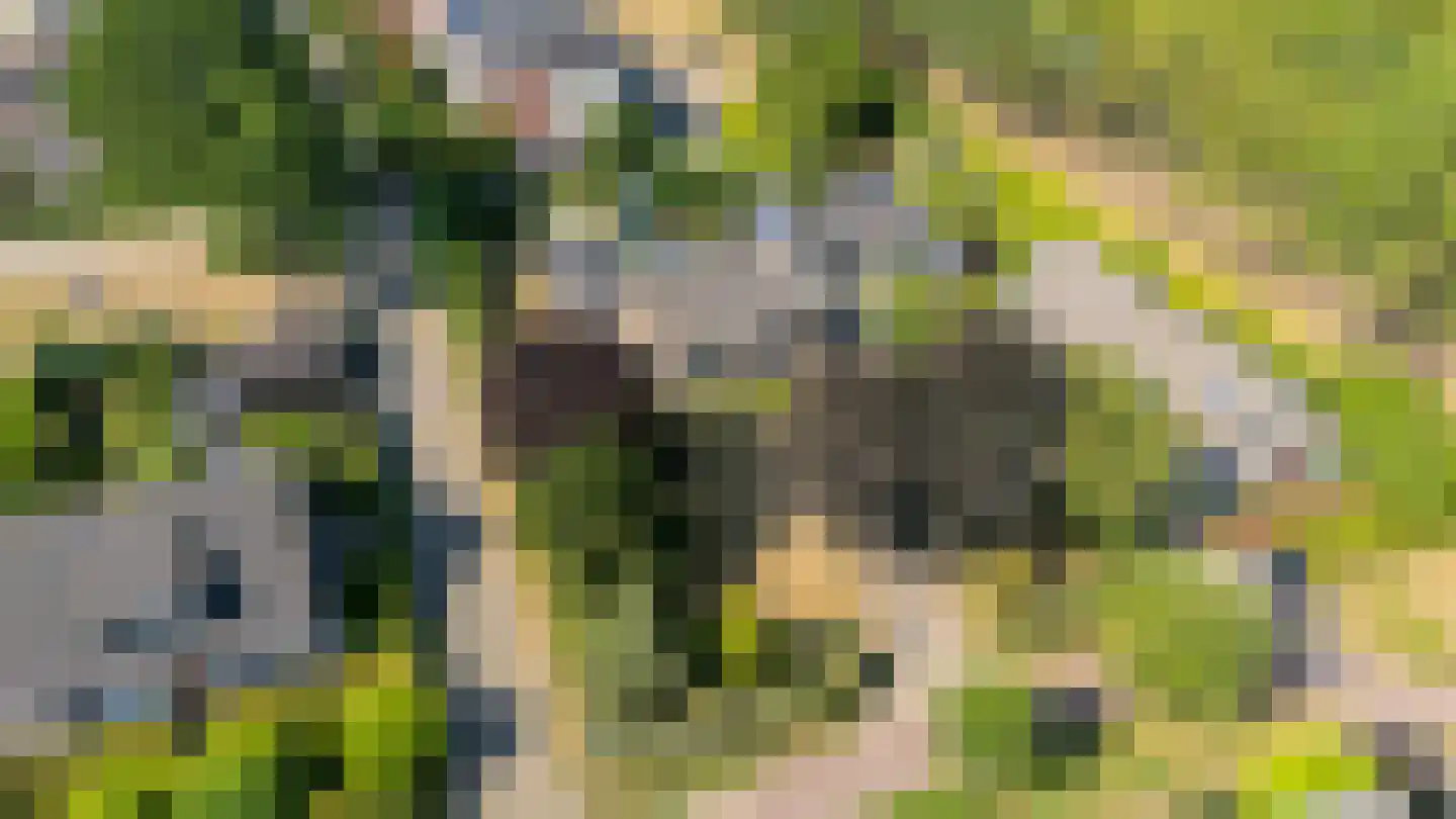 Rijderslag 8 Houten thumbnail 8