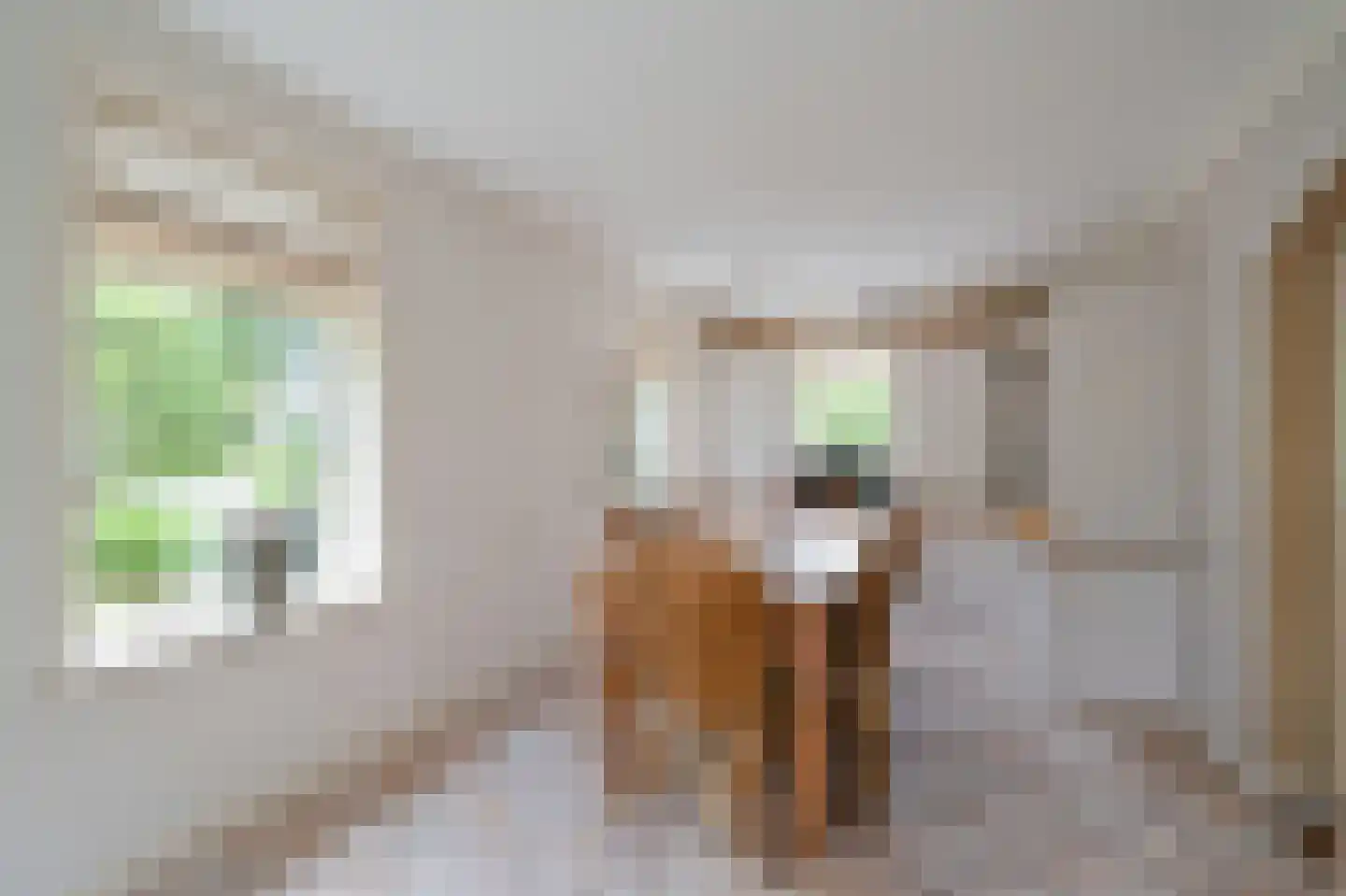 Rijdersstraat 126 d 't Veld thumbnail 21