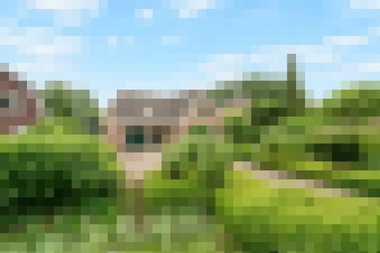Rijdersstraat 126 d 't Veld thumbnail 5