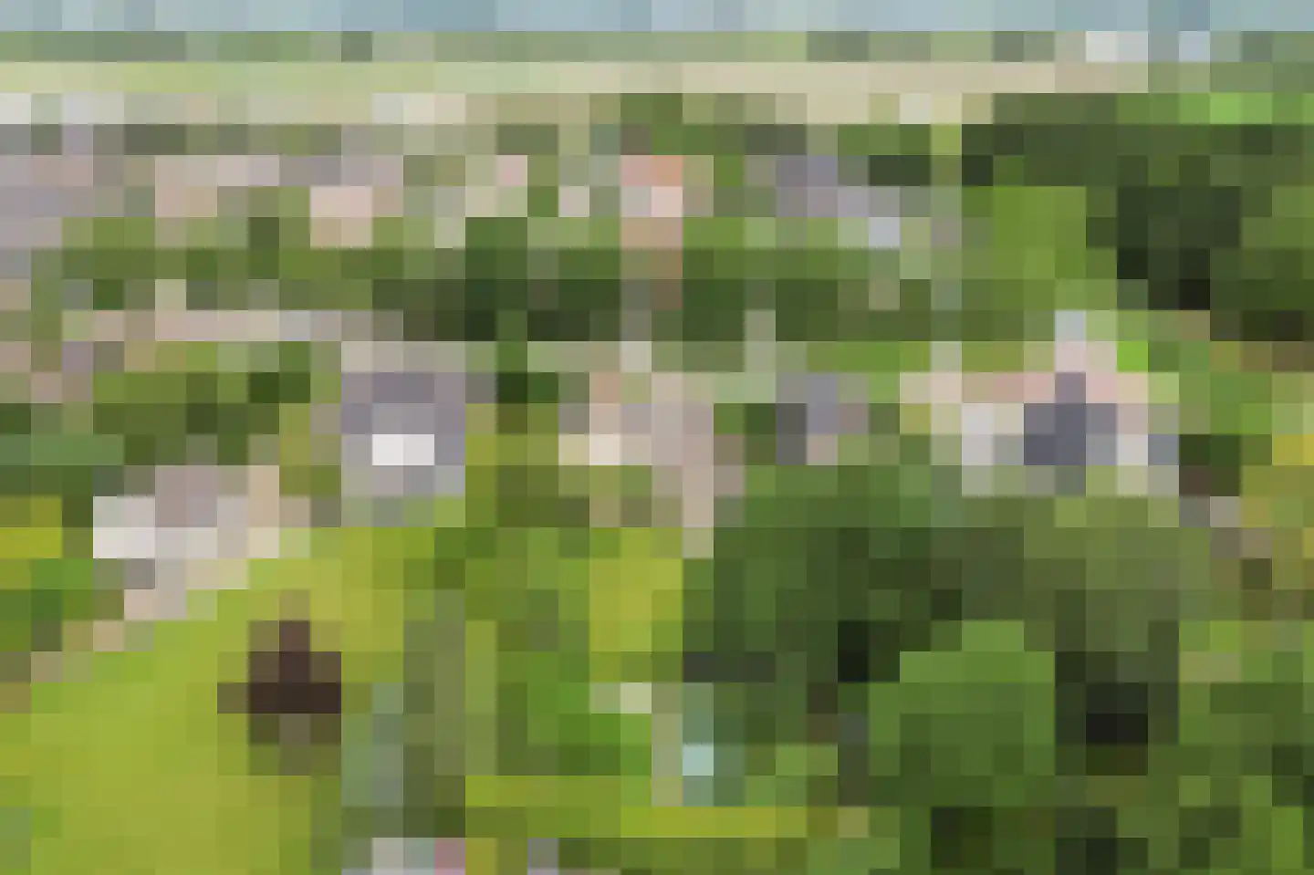 Rijdersstraat 126 d 't Veld thumbnail 54