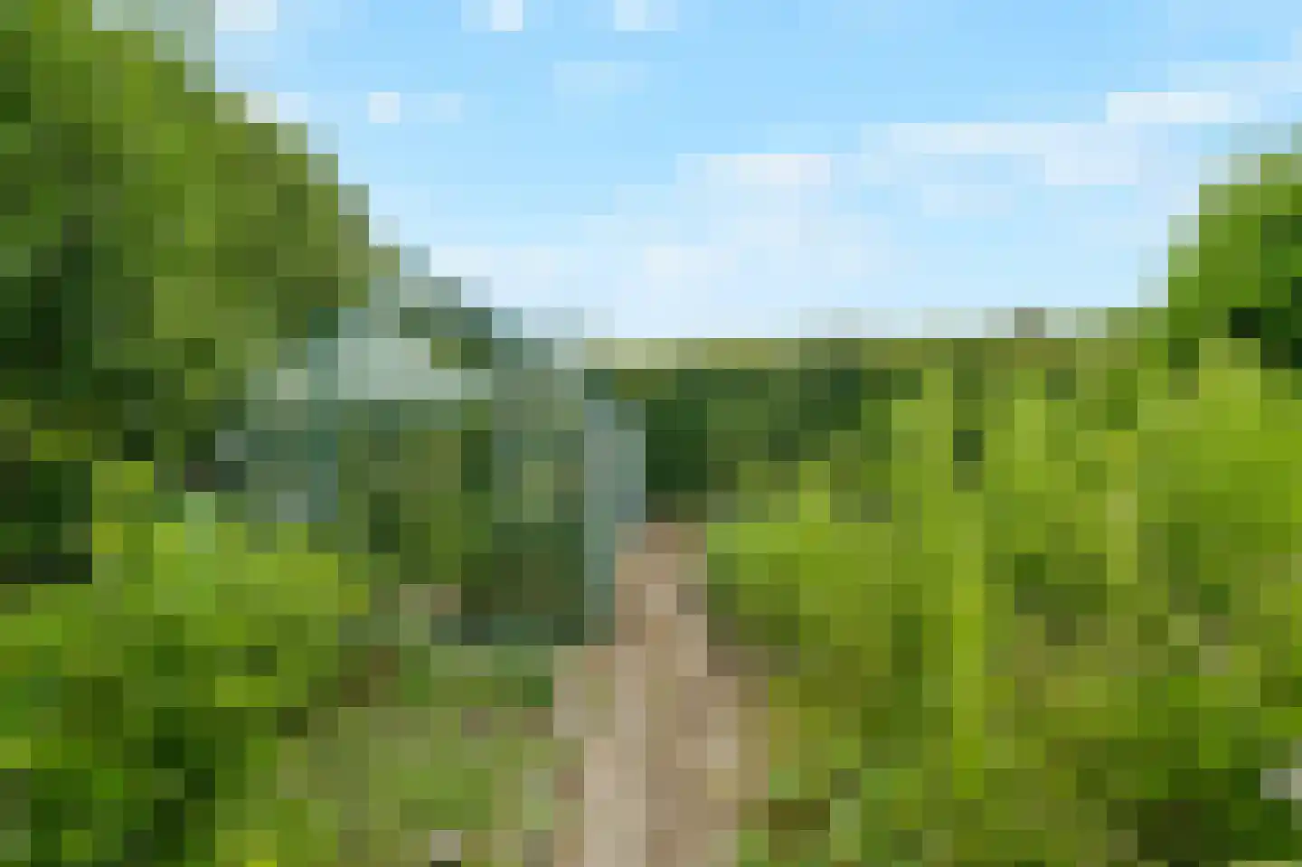 Rijdersstraat 126 d 't Veld thumbnail 61