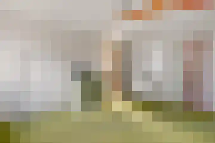 Rijdersstraat 25 't Veld thumbnail 25