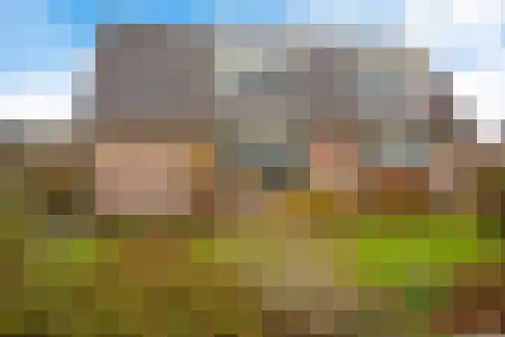 Rijdersstraat 25 't Veld thumbnail 41
