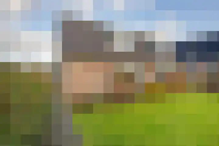 Rijdersstraat 25 't Veld thumbnail 5