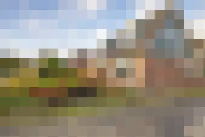 Rijdersstraat 25 't Veld thumbnail 7