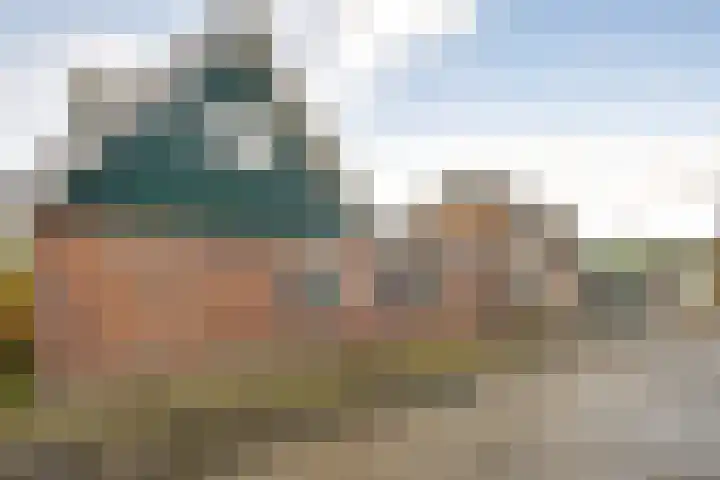 Rijdersstraat 25 't Veld thumbnail 8