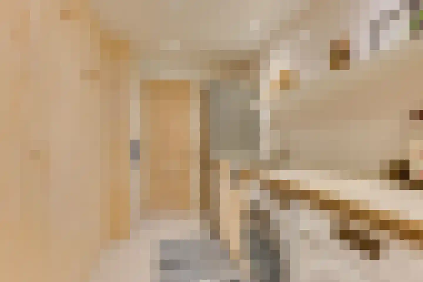 Rijdersstraat 41 't Veld thumbnail 19
