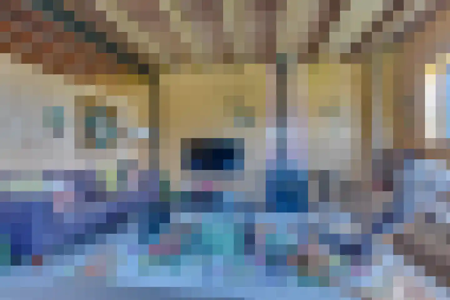 Rijdersstraat 41 't Veld thumbnail 42