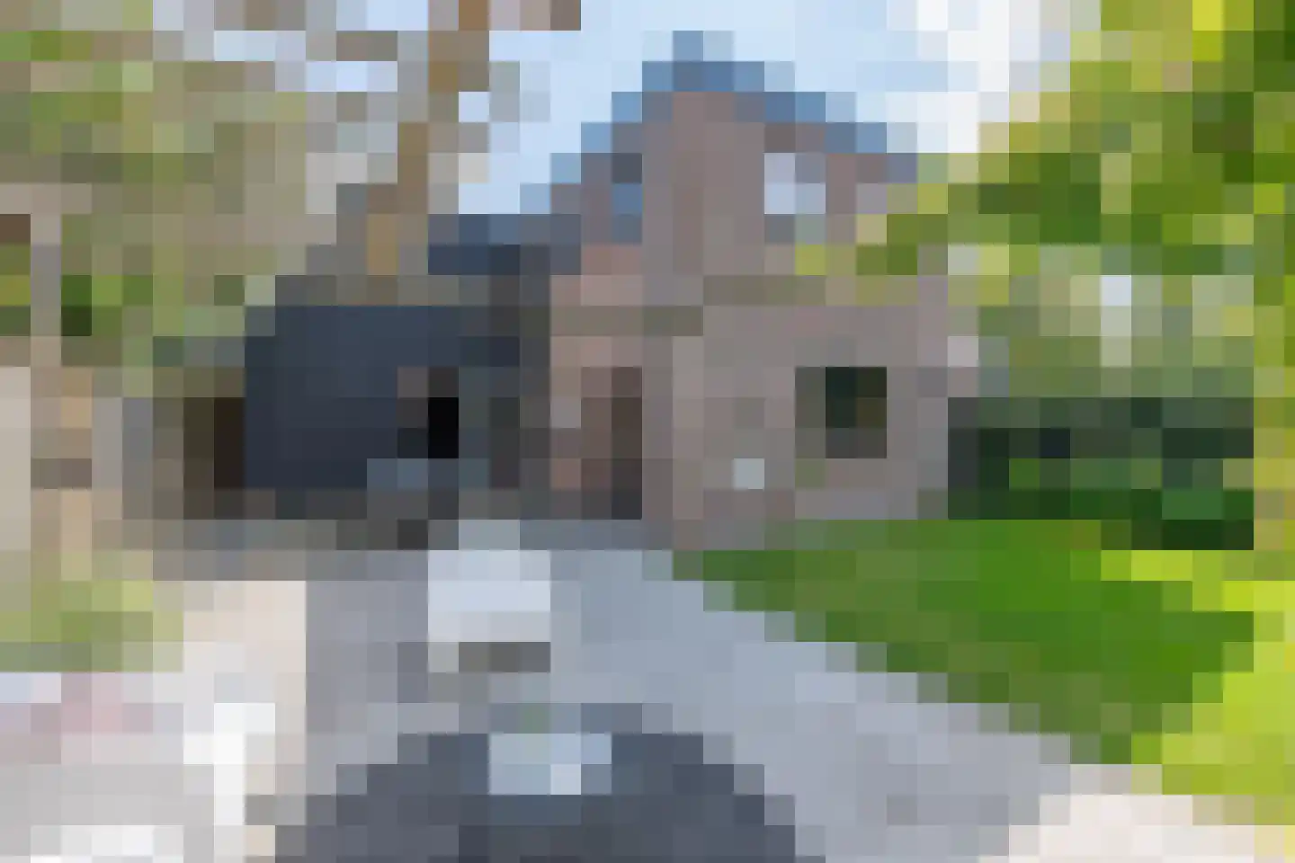 Rijdersstraat 41 't Veld thumbnail 63