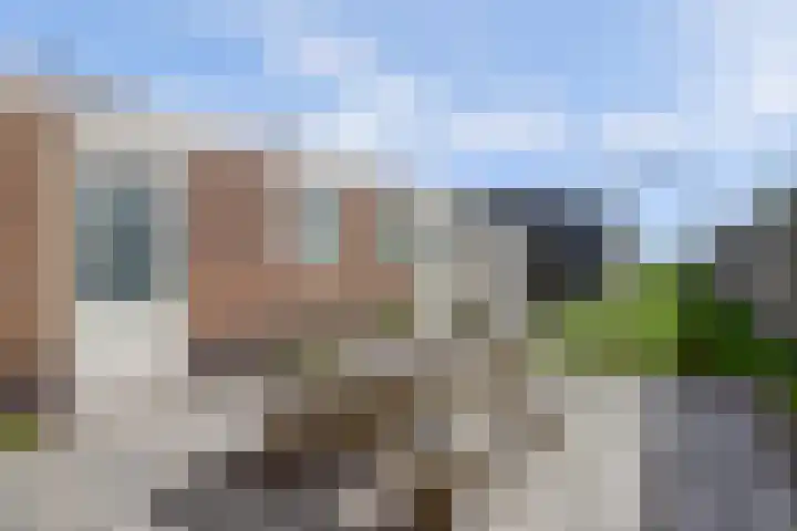Rijdersstraat 44 't Veld thumbnail 29