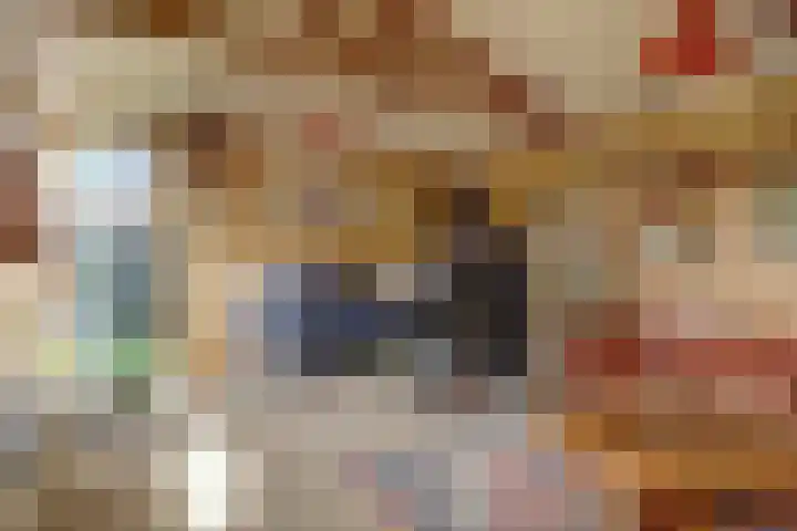 Rijdersstraat 44 't Veld thumbnail 34