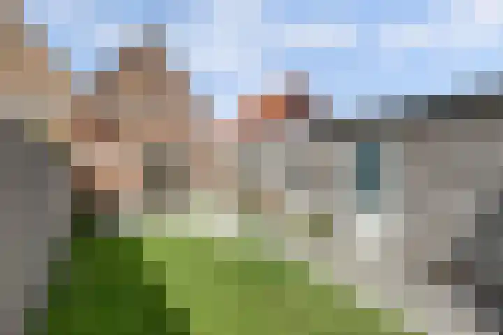 Rijdersstraat 44 't Veld thumbnail 35