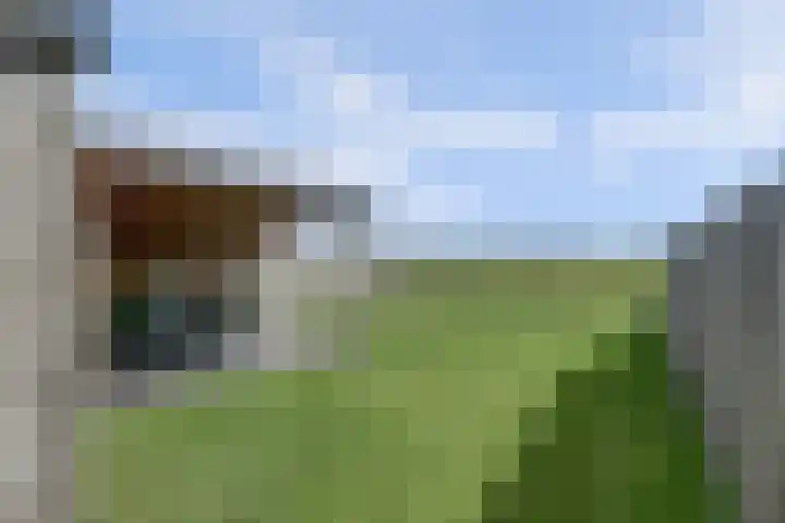 Rijdersstraat 44 't Veld thumbnail 38