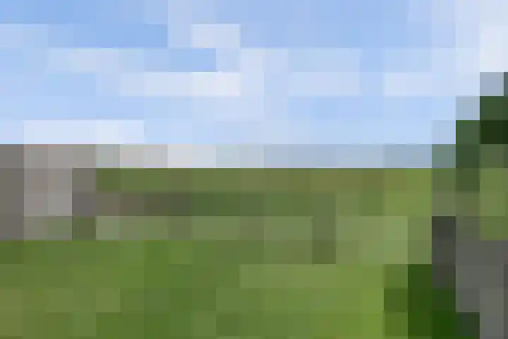 Rijdersstraat 44 't Veld thumbnail 39