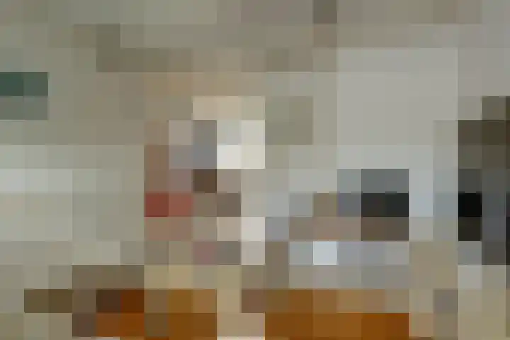 Rijdersstraat 44 't Veld thumbnail 5