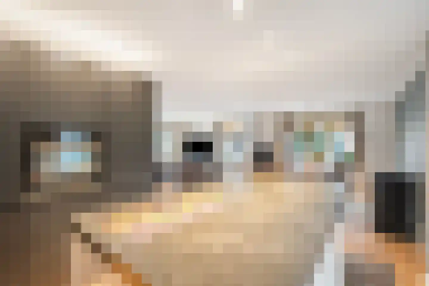 Rijdersstraat 48 't Veld thumbnail 16