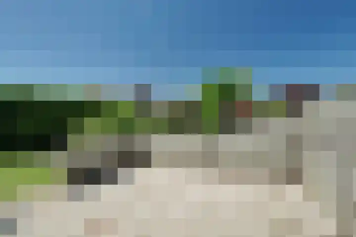 Rijdersstraat 55 't Veld thumbnail 45