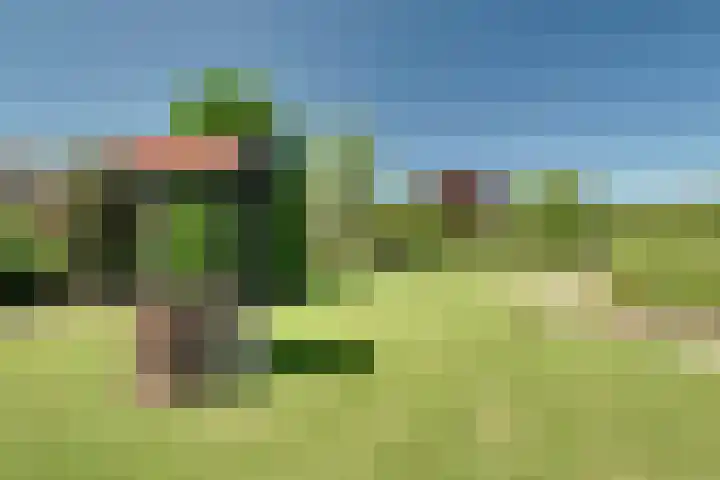 Rijdersstraat 55 't Veld thumbnail 46