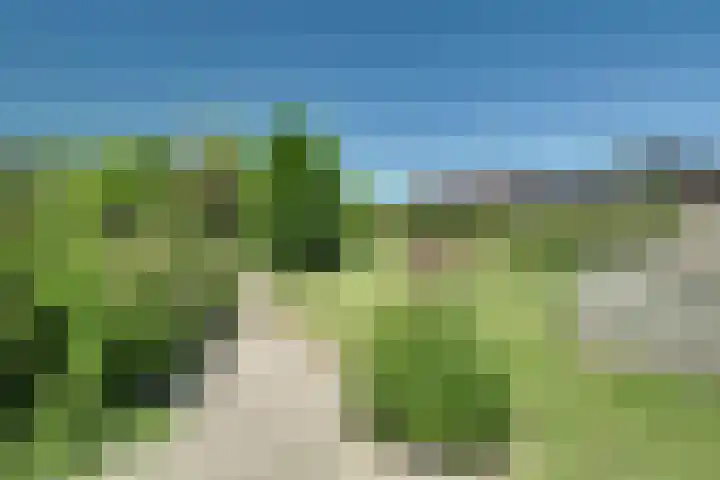 Rijdersstraat 55 't Veld thumbnail 47