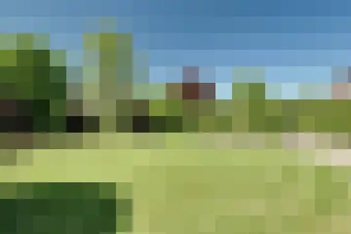 Rijdersstraat 55 't Veld thumbnail 48