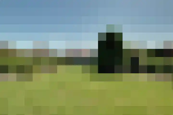 Rijdersstraat 55 't Veld thumbnail 49