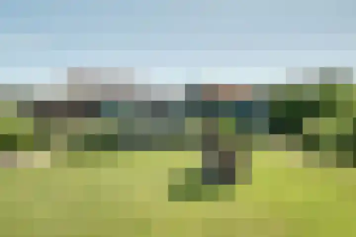 Rijdersstraat 55 't Veld thumbnail 50
