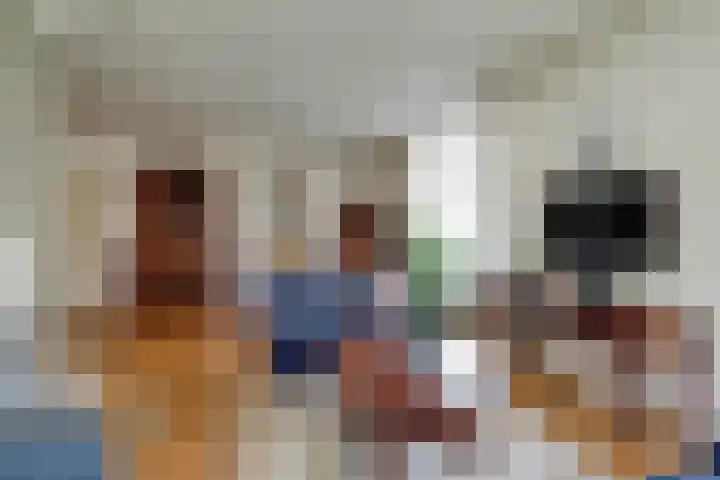 Rijdersstraat 55 't Veld thumbnail 8