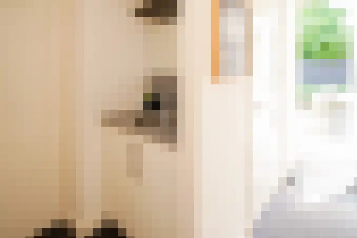 Rijdersstraat 6 't Veld thumbnail 15